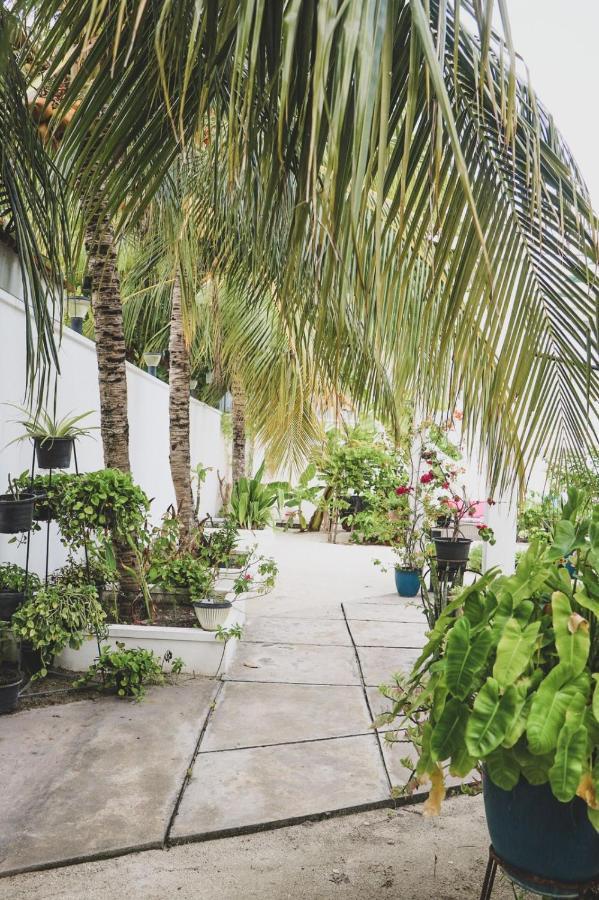 Fiyala Homestay Addu Atol Buitenkant foto